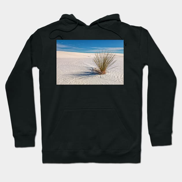 Lone Yucca Hoodie by jvnimages